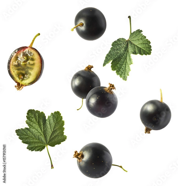 Fototapeta Fresh Ripe Black Currant berries falling in the air isolated on white background