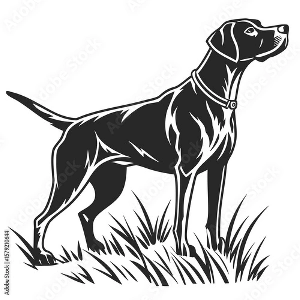 Fototapeta Elegant dog stands in grass, showcasing its sleek collar within the monochrome illustration
