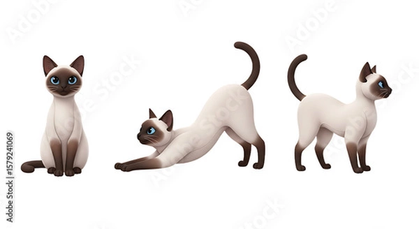 Fototapeta Three Adorable Siamese Cats in Playful Poses Sitting Stretching and Standing.