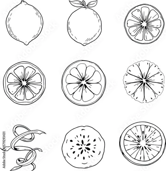 Fototapeta Lemon Silhouettes Grid  Monochrome Icons of Whole Fruit, Leafed Lemons, Spiral Peel, and Detailed Citrus Cross-Sections with Seeds