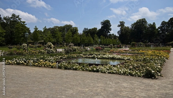 Obraz Rosarium in Doblhoff Park in Baden near Vienna, Lower Austria, Austria
