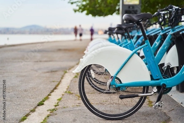Obraz Bicycle rental in the center of Istanbul. Bicycle sharing. Bicycle rental app. Rent bikes. Public bicycles for tourists