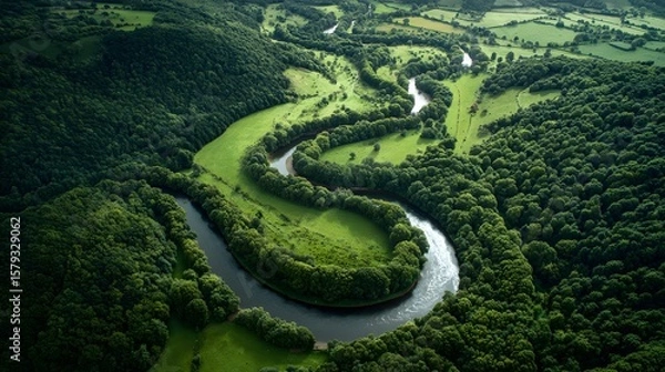 Obraz Scenic winding river flows through a vibrant green landscape from an aerial perspective