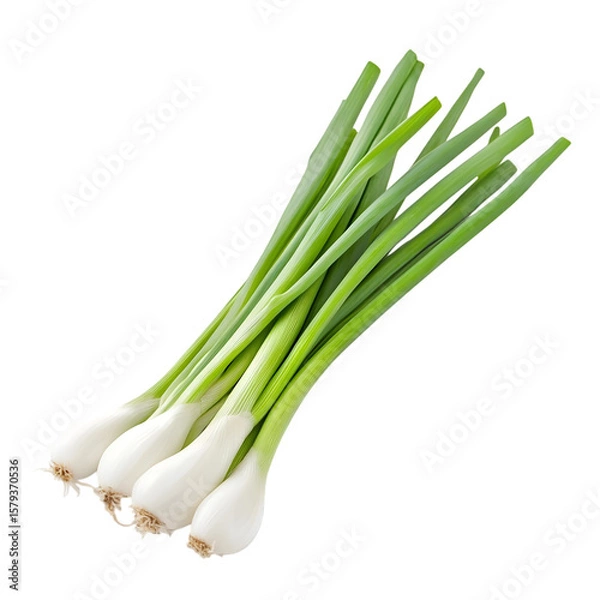 Fototapeta Scallion isolated on transparent background