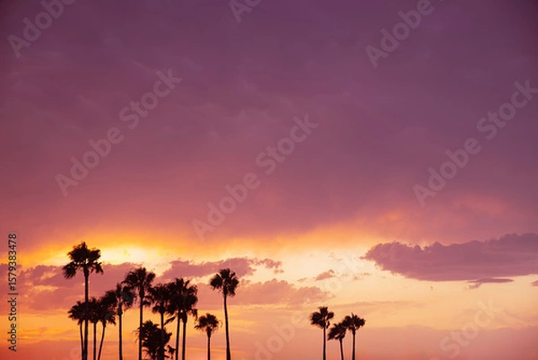 Fototapeta Vibrant sunset sky with dramatic purple and orange tones above a row of palm trees, capturing a tranquil and tropical summer evening atmosphere
