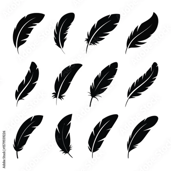 Fototapeta Set of Simple Black Feather Icons