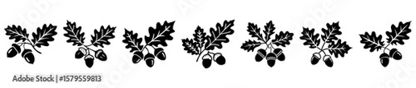 Obraz Black and white oak leaves and acorns with detailed vein design