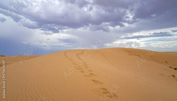 Fototapeta Scenic Sandy Desert Dune Under Dramatic Cloudscape with Visible Footprints
