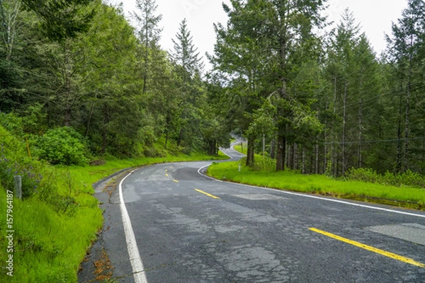 Obraz Beautiful route through the forest