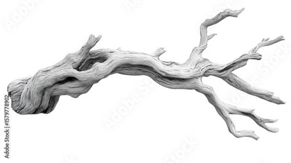 Fototapeta White Tree Branch With Transparent Background