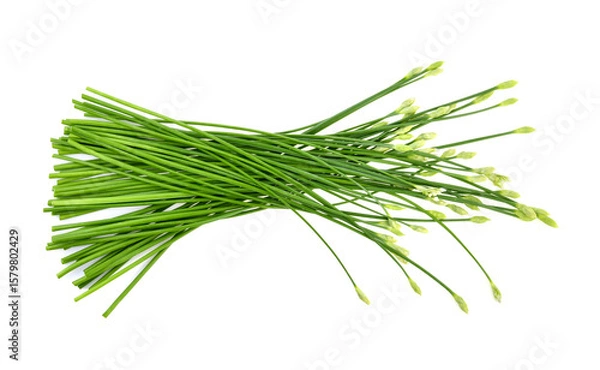 Obraz Chinese chives on white background