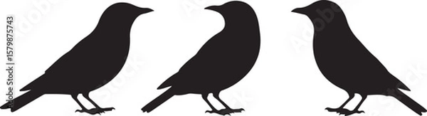 Fototapeta Flying and Perching Bird Silhouette Set
Crow and Sparrow Vector Silhouettes Bundle
Black Bird Clipart Collection – Flying & Branch Poses