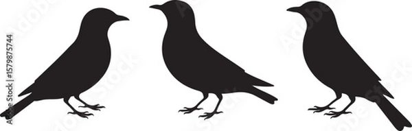 Fototapeta Flying and Perching Bird Silhouette Set
Crow and Sparrow Vector Silhouettes Bundle
Black Bird Clipart Collection – Flying & Branch Poses
