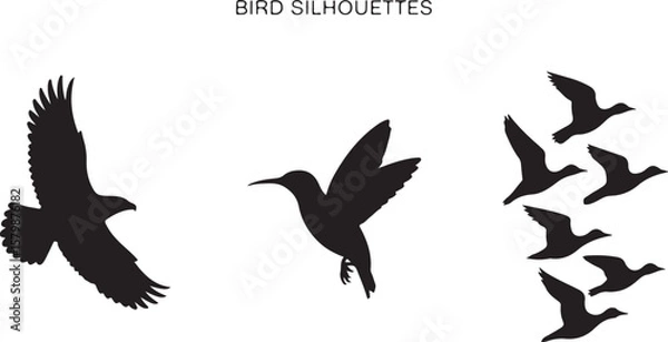Fototapeta Flying and Perching Bird Silhouette Set
Crow and Sparrow Vector Silhouettes Bundle
Black Bird Clipart Collection – Flying & Branch Poses