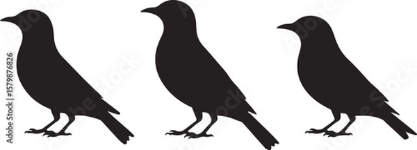 Fototapeta Flying and Perching Bird Silhouette Set
Crow and Sparrow Vector Silhouettes Bundle
Black Bird Clipart Collection – Flying & Branch Poses