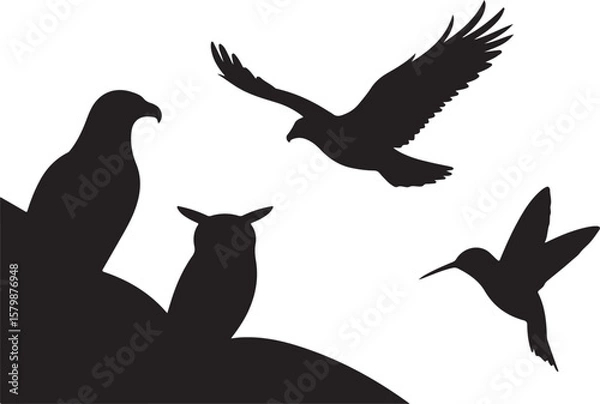 Fototapeta Flying and Perching Bird Silhouette Set
Crow and Sparrow Vector Silhouettes Bundle
Black Bird Clipart Collection – Flying & Branch Poses