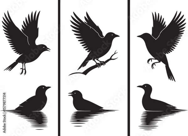 Fototapeta Flying and Perching Bird Silhouette Set
Crow and Sparrow Vector Silhouettes Bundle
Black Bird Clipart Collection – Flying & Branch Poses
