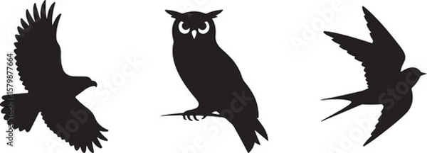 Fototapeta Flying and Perching Bird Silhouette Set
Crow and Sparrow Vector Silhouettes Bundle
Black Bird Clipart Collection – Flying & Branch Poses