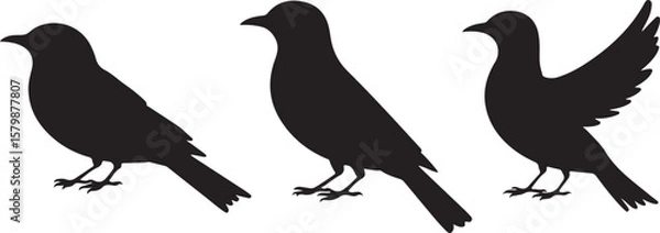 Fototapeta Flying and Perching Bird Silhouette Set
Crow and Sparrow Vector Silhouettes Bundle
Black Bird Clipart Collection – Flying & Branch Poses