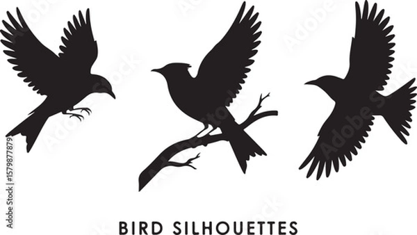 Fototapeta Flying and Perching Bird Silhouette Set
Crow and Sparrow Vector Silhouettes Bundle
Black Bird Clipart Collection – Flying & Branch Poses
