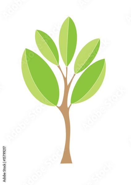 Fototapeta green tree