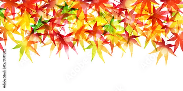 Fototapeta 紅葉　もみじ　秋　背景