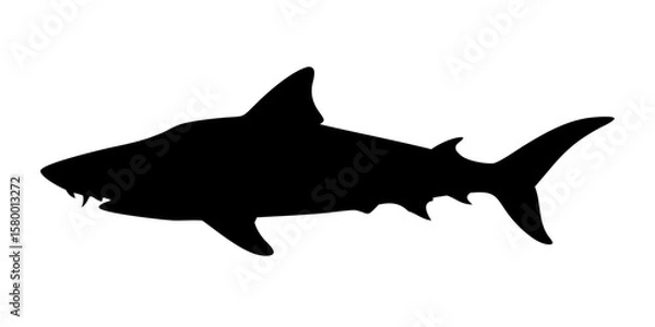 Obraz Aggressive Shark Silhouette Vector – Black Ocean Predator Illustration