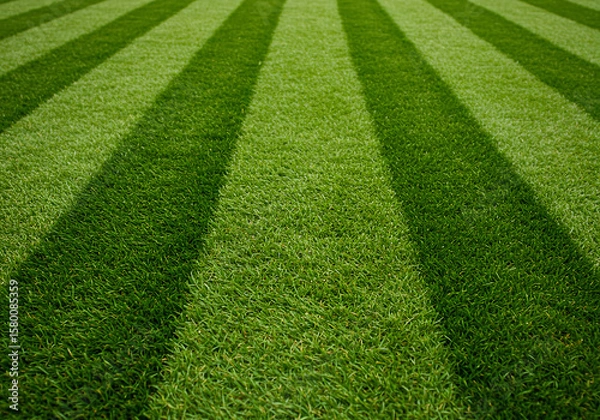 Fototapeta well-maintained turf with geometric lawn stripes from lawn mower
