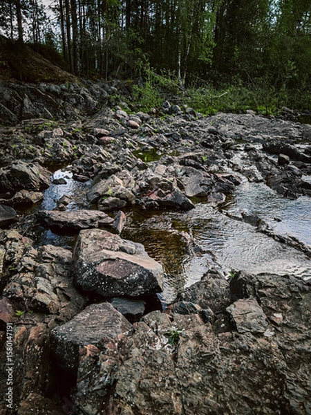 Fototapeta Snow melt in stream over rapids. Alluvial Fan Falls in the Rockies in Colorado. Green trees, boulders in the stream with whitewater rapids. Boulders, green trees and white water falls in Colorado.