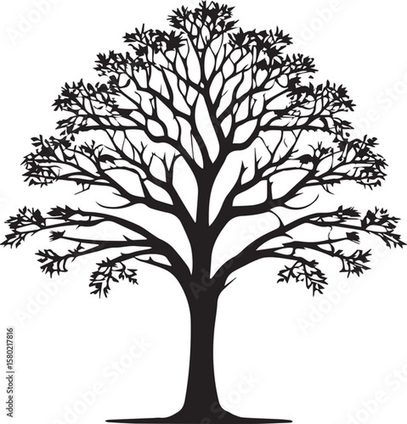 Fototapeta Tree silhouette Vector | Minimalist & Trendy Tree Silhouette Design | Unique & Stylish Tree Artwork for Vector design	
