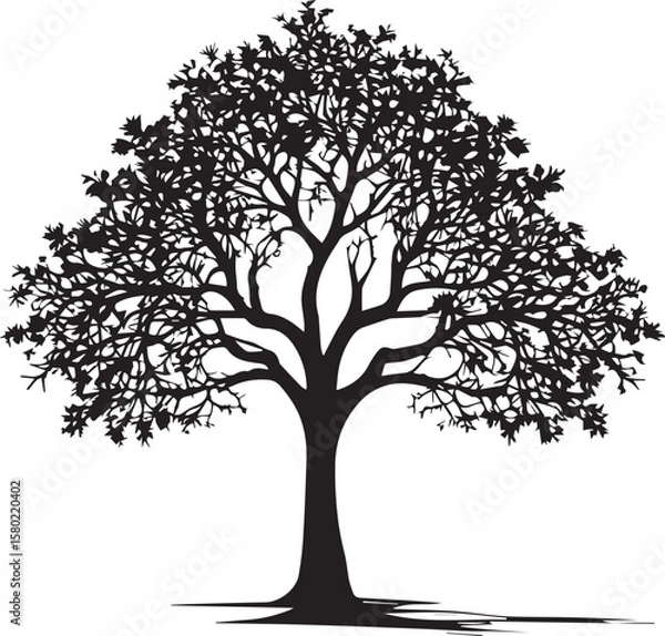 Fototapeta Tree silhouette Vector | Minimalist & Trendy Tree Silhouette Design | Unique & Stylish Tree Artwork for Vector design	
