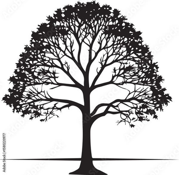 Fototapeta Tree silhouette Vector | Minimalist & Trendy Tree Silhouette Design | Unique & Stylish Tree Artwork for Vector design	
