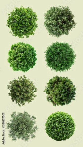 Fototapeta Green bush element set