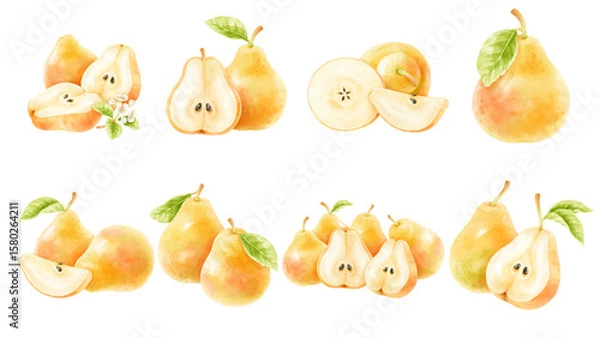 Fototapeta Set of pear in watercolor style and various artstyle