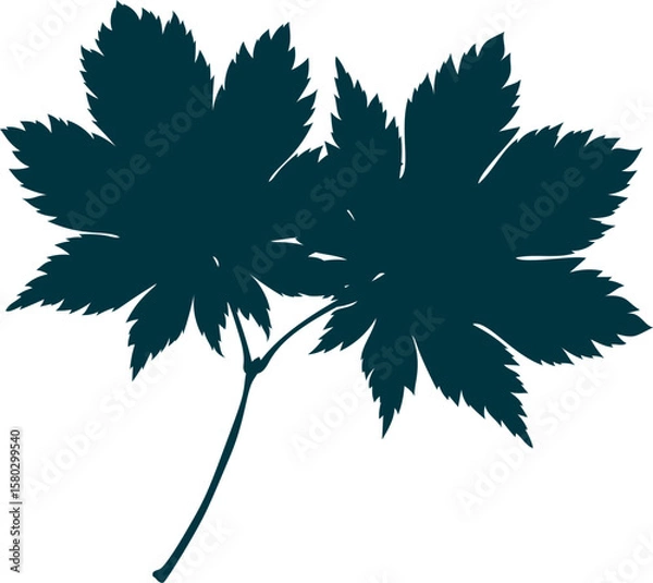 Fototapeta Hand-drawn autumn maple leaves silhouettes isolated on white background. Flat style vector illustration.