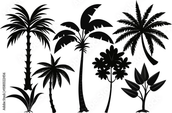Fototapeta 6 Exotic Tropical Tree Silhouette Vector Set