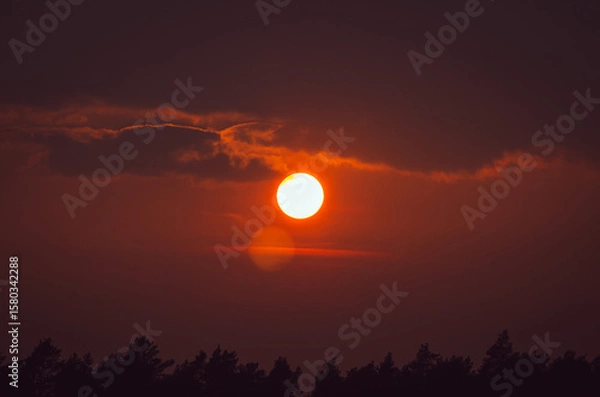 Fototapeta Dramatic Sunset with Orange Sky and Silhouetted Trees