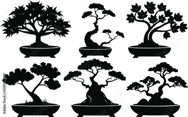 Fototapeta 6 Bonsai Tree Silhouettes Vector Set
