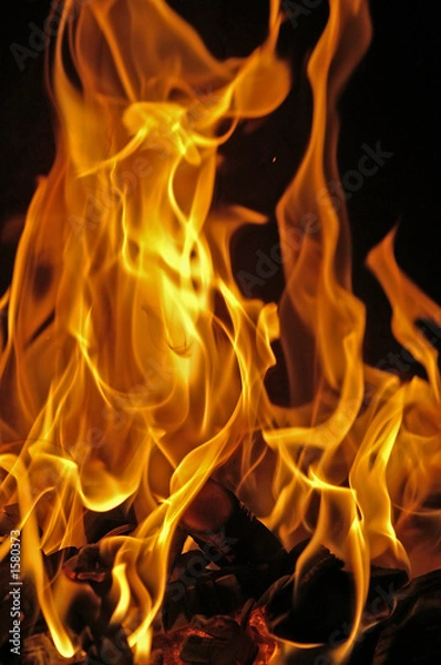 Obraz flammen #0113
