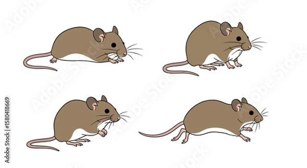 Fototapeta Illustrated brown mouse in different poses on a white background  