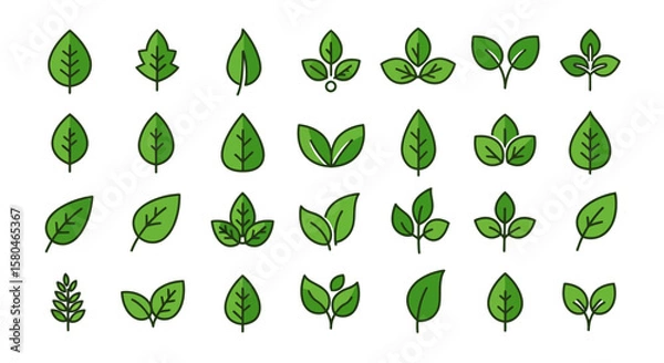 Fototapeta Leaf Icons: A collection of vibrant and fresh green leaf icons, showcasing different shapes and designs to represent nature, ecology, and organic elements.