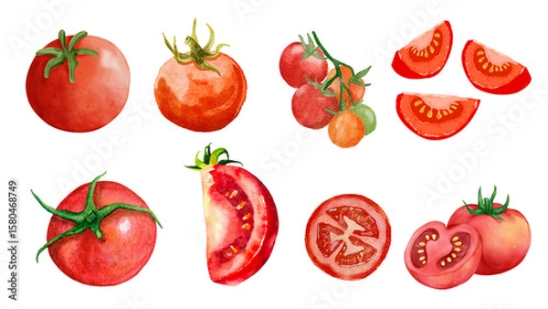 Fototapeta Set of tomato in watercolor style and various artstyle