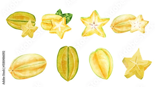 Fototapeta Set of starfruit in watercolor style and various artstyle