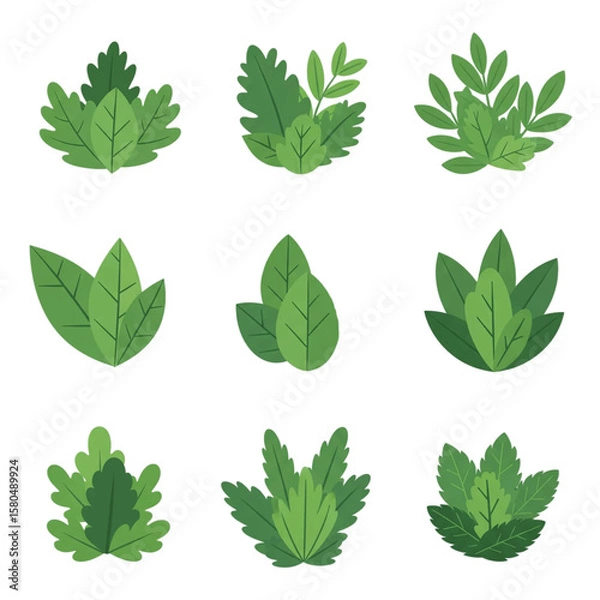 Fototapeta Various stylized green foliage illustrations in a minimalist flat design on a white background