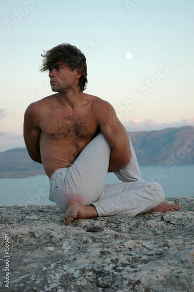 Obraz hatha-yoga: ardha matsyendrasana