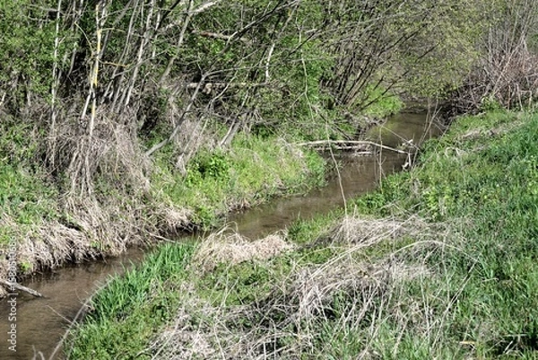 Obraz Bachlauf im Frühling