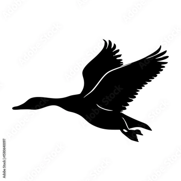 Fototapeta A Duck Silhouette Vector Illustration