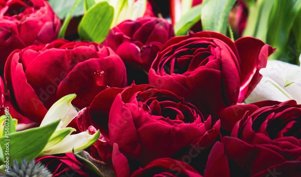 Obraz 真紅で鮮やかなバラの花とひまわり