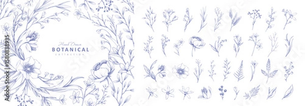 Obraz Set of detailed various flowers and foliage, intricate details and delicate forms. Hand drawn vector illustration with elegant botanical elements for invitation, save the date card