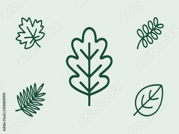Fototapeta Various green leaves on a light green background nature botanical